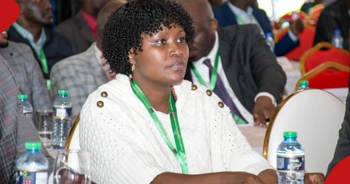 Nation Media fait face à une poursuite de 200 millions de KSh pour l'histoire « diffamatoire » de Cecily Mbarire