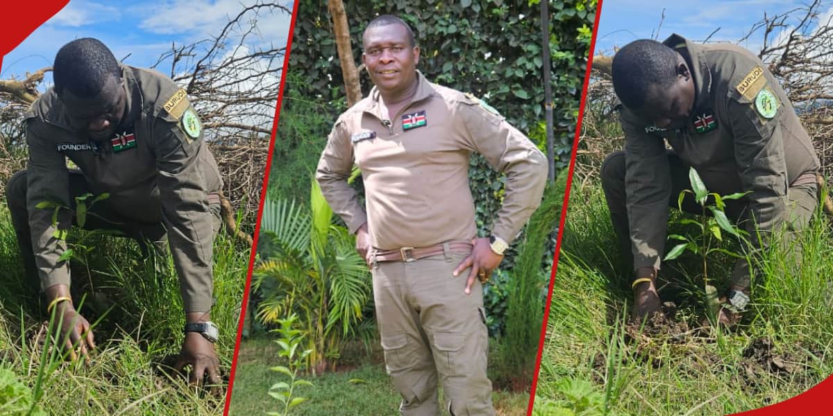 Changement climatique : un homme d'affaires de Nairobi en mission pour rendre le Kenya vert en plantant 1 milliard d'arbres