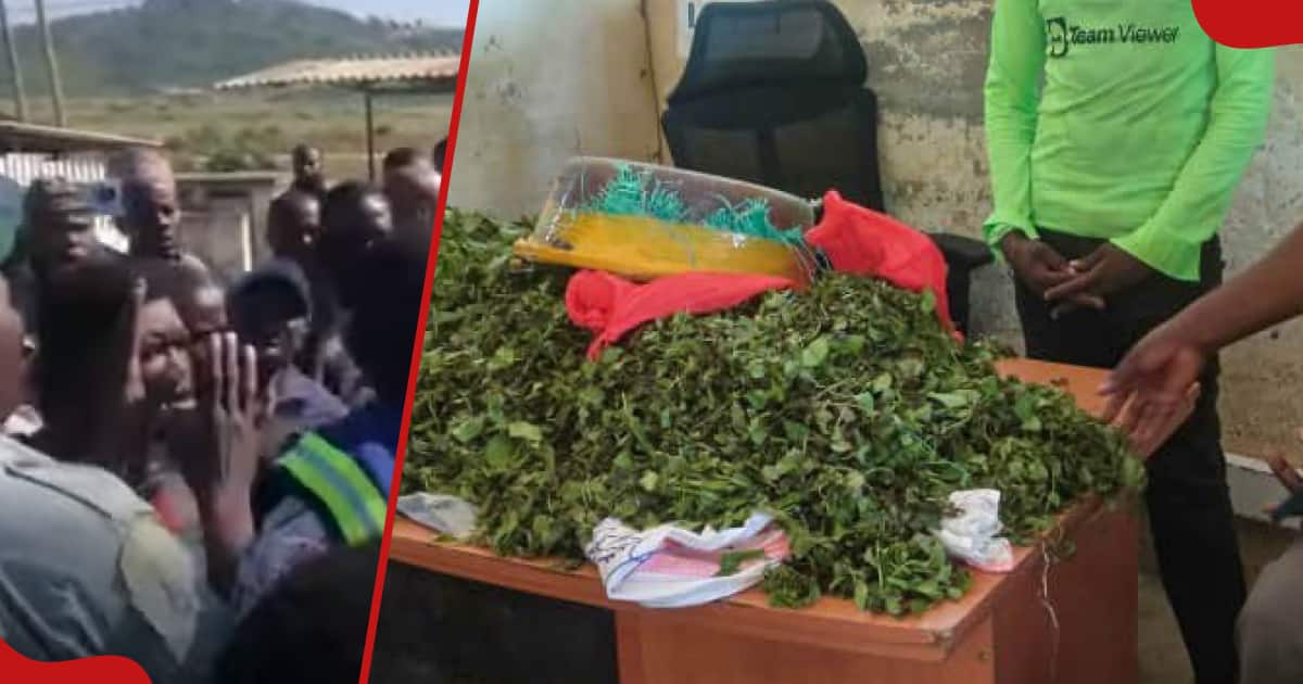 Mombasa : des commerçants en colère affrontent les agents du comté après avoir bloqué l'entrée de Muguka