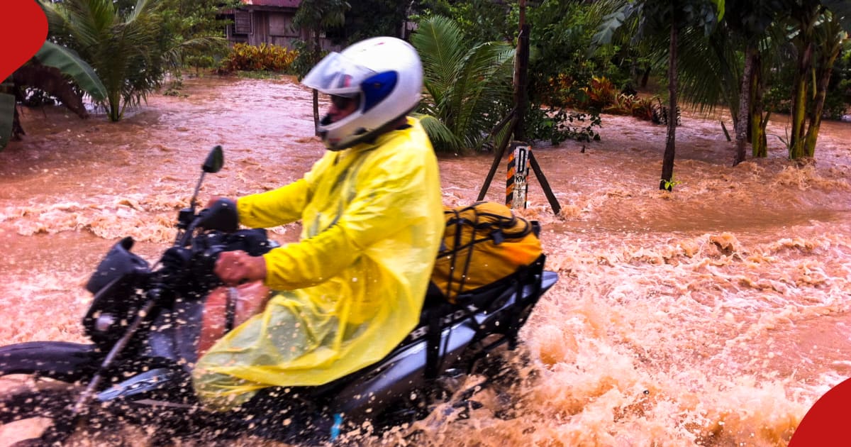 Tumulte alors que le cavalier Boda transportant son passager est emporté par les inondations : « Il a presque réussi »