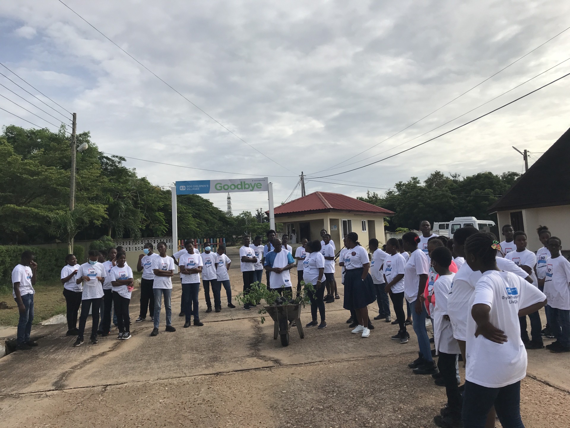 Environnement Arbres Sos