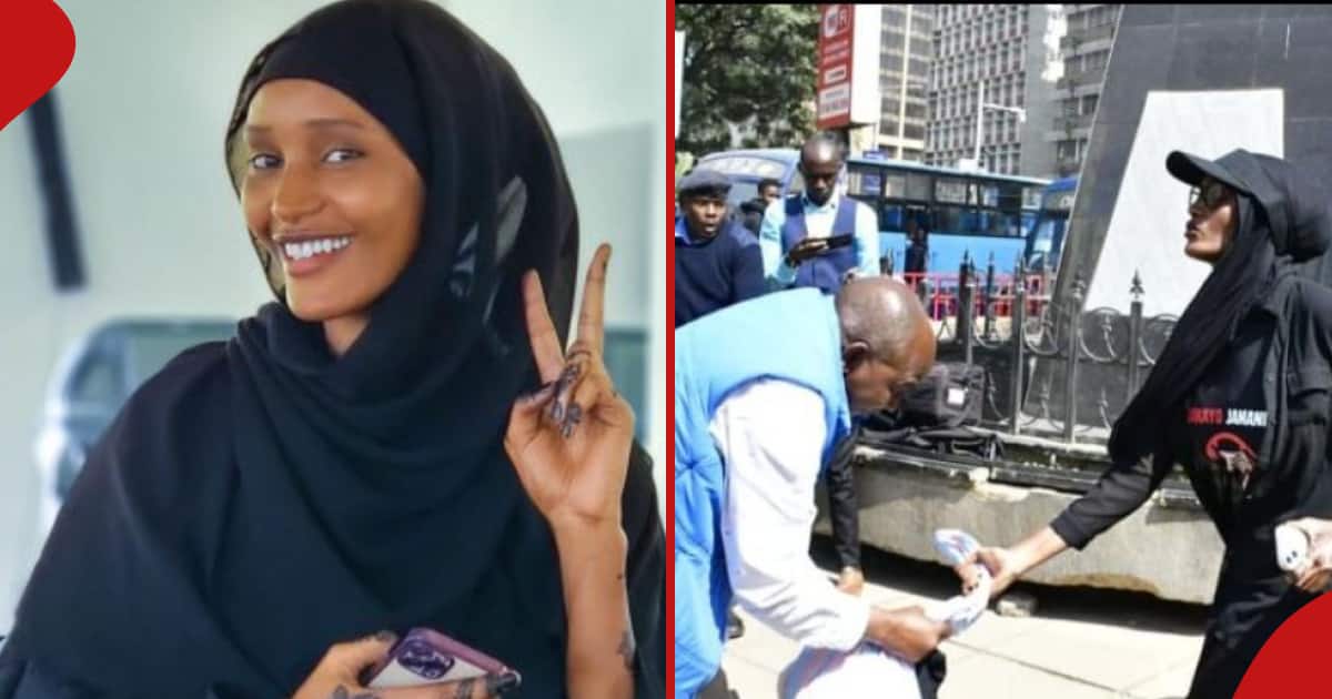 Hanifa Farsafi : Une vidéo apparaît d'un policier en civil saisissant le sac d'un militant avant son arrestation