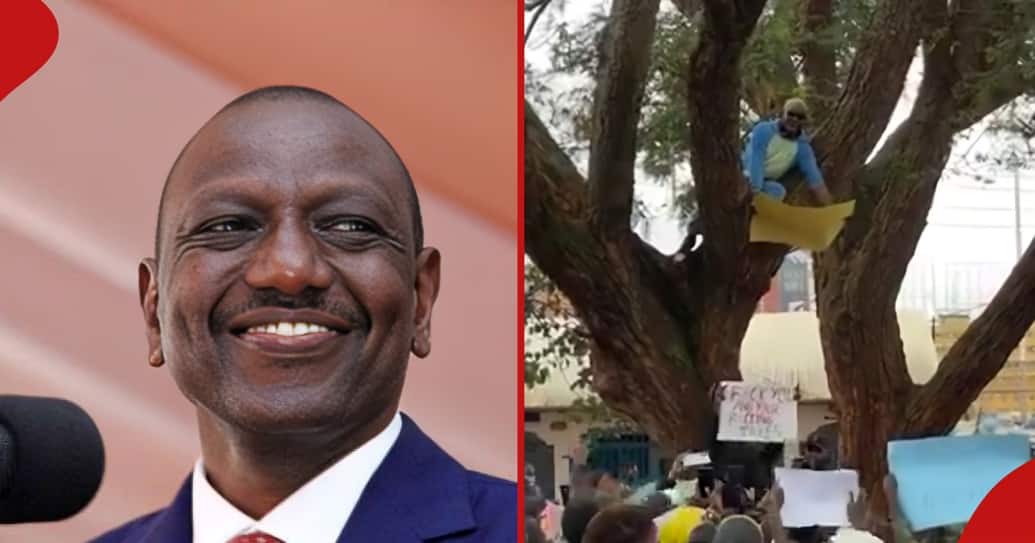 Scène hilarante lors d'une manifestation alors que les Kenyans chantent pour que l'homme descende de l'arbre : "Zakayo Shuka"
