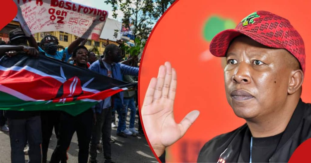 Julius Malema félicite la jeunesse kenyane pour s'être opposée au projet de loi de finances 2024 : "Continuez à nous rendre fiers"