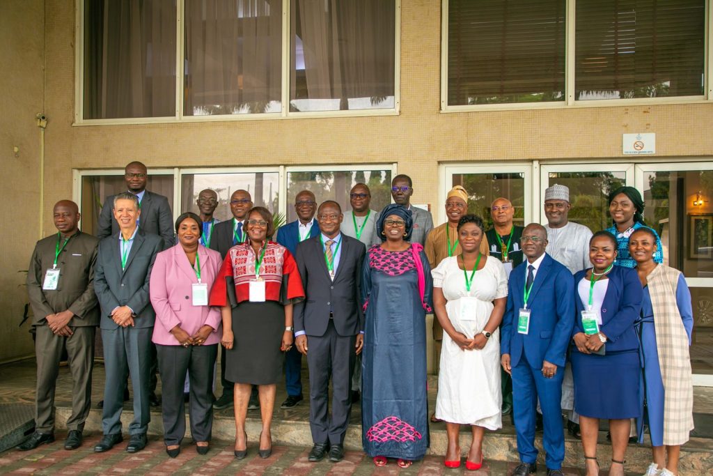 Ecowas And The World Bank Hold A Mid Term Review Of The Regional Electricity Access Project
