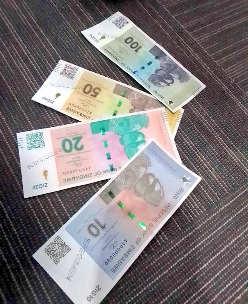 Le Zimbabwe doit mettre fin à « l’emprise du dollar » pour retrouver sa souveraineté économique