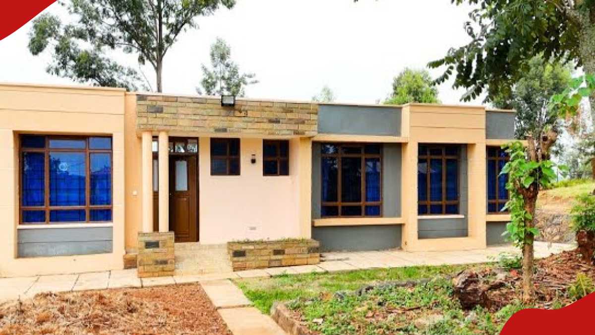 Une femme de Kirinyaga vivant à l'étranger construit une maison exquise à toit plat pour ses parents : « Magnifique »