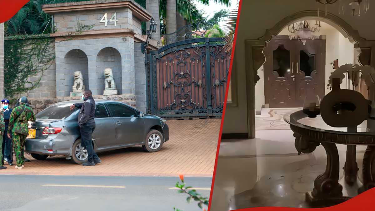 Une vidéo montre un aperçu du magnifique salon de Jimi Wanjigi après une descente de police