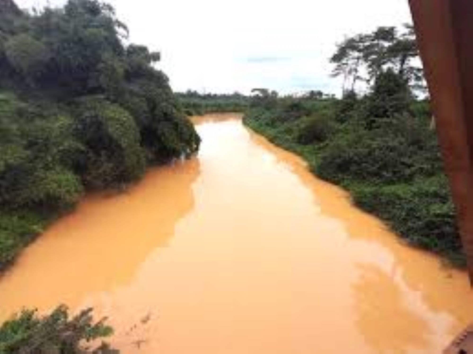 GUNA appelle à une application stricte des lois contre Galamsey alors que la destruction de l'environnement s'aggrave