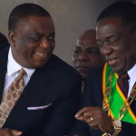 Majority of Zimbabweans prefer democracy to military rule, autocracy