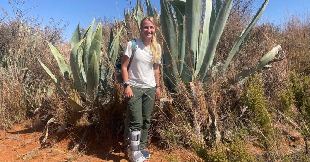 SANParks confirme qu'un touriste américain disparu lors d'une randonnée sur la montagne de la Table a été retrouvé mort