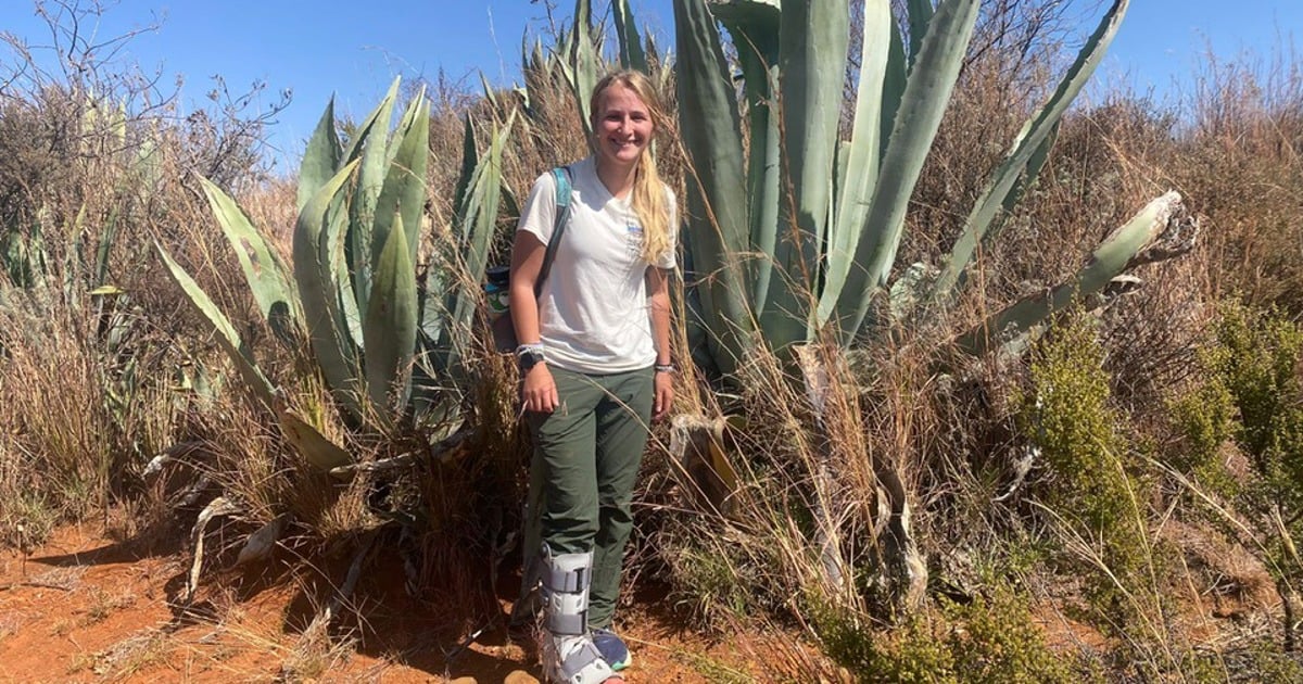 SANParks confirme qu'un touriste américain disparu lors d'une randonnée sur la montagne de la Table a été retrouvé mort
