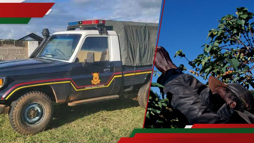 Kericho : 2 gardiens retrouvés morts dans la serre de la Coffee Cooperative Society après un vol présumé