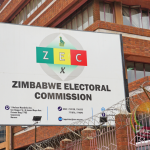 Pressure mounts on government to halt constitutional amendments amid proposed automatic voter registration for 18-year-olds