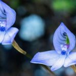 L'humanité vivra-t-elle en harmonie avec la nature ? Les enjeux n'ont jamais été aussi élevés