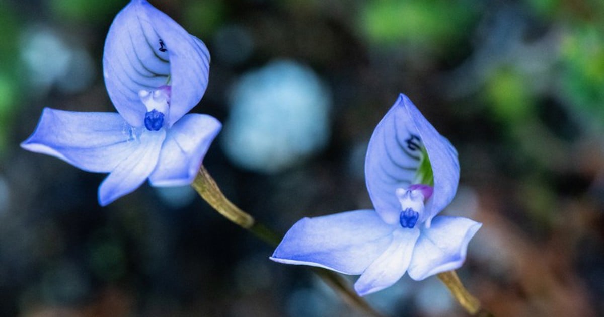 L'humanité vivra-t-elle en harmonie avec la nature ? Les enjeux n'ont jamais été aussi élevés