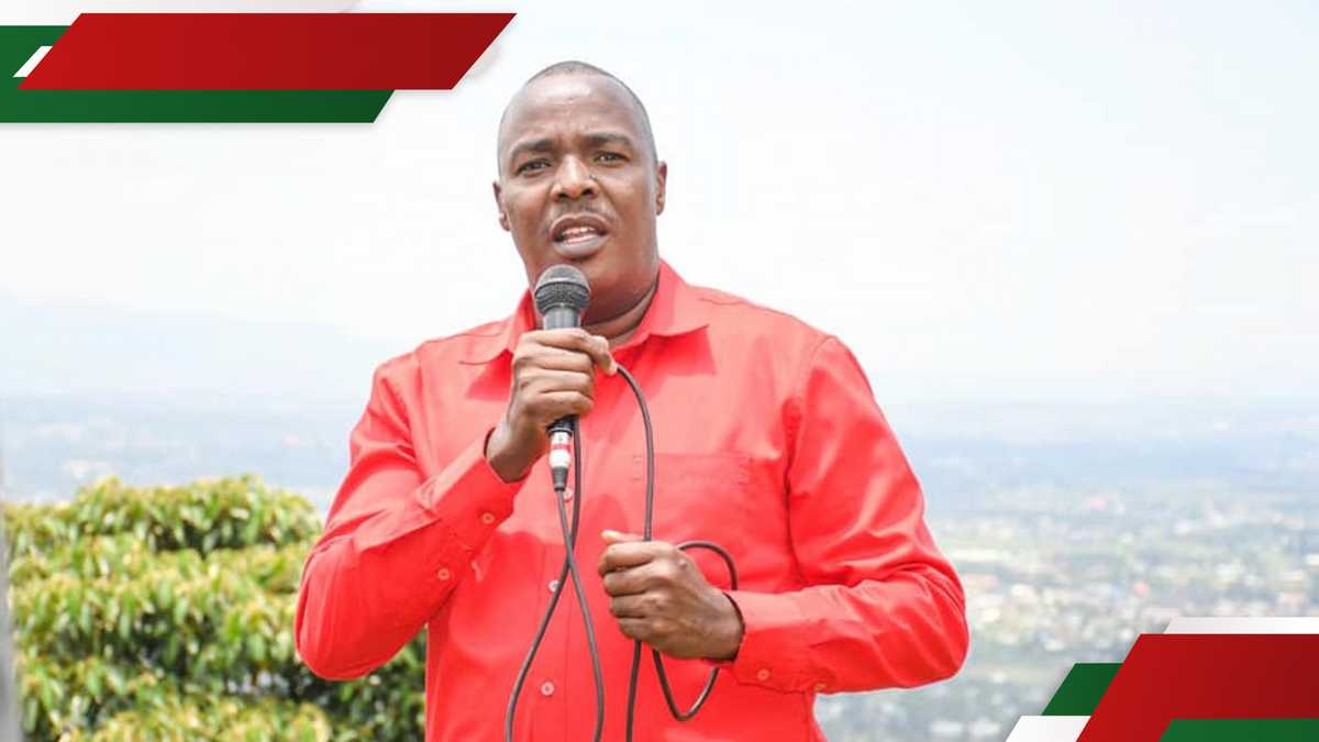 Nakuru MCA frappé avec un œuf à la tête lors d'une confrontation : « Nilikuwa Mbele »