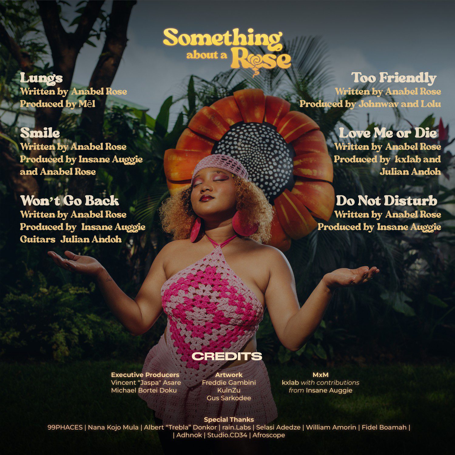 Quelque chose à propos d'une tracklist rose