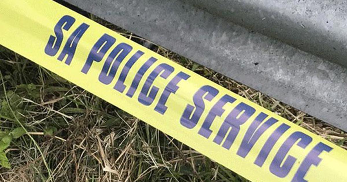 Le département des transports de la CE lance un appel au public pour l'aider à retrouver le conducteur impliqué dans un délit de fuite