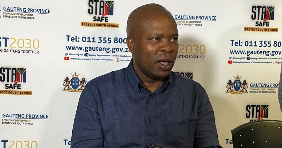 Le gouvernement de Gauteng met en place un programme de fêtes de fin d'année pour les enfants