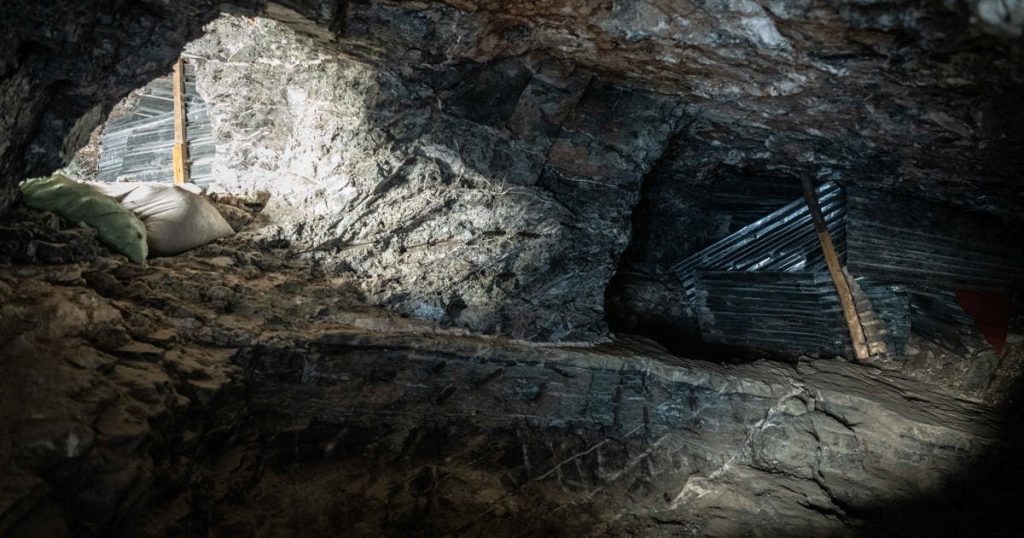 En moyenne, 40 arbres miniers utilisés par les mineurs illégaux ont fermé chaque année