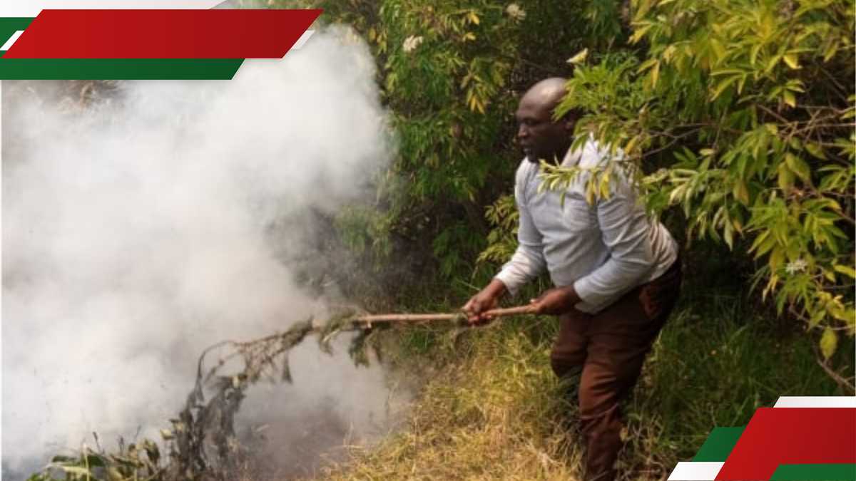 Feux de forêt d'Isiolo : les éleveurs demandent de l'aide alors que l'incendie détruit plus de 200 000 acres de pâturages