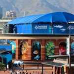 L'Aquarium des Deux Océans propose un cours de 3 ans aux lycéens intéressés par les études marines