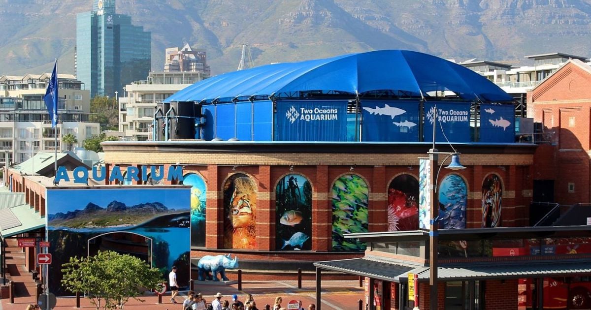 L'Aquarium des Deux Océans propose un cours de 3 ans aux lycéens intéressés par les études marines