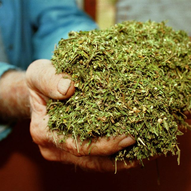 Police bust drug peddlers carrying 7kg dagga on a bus