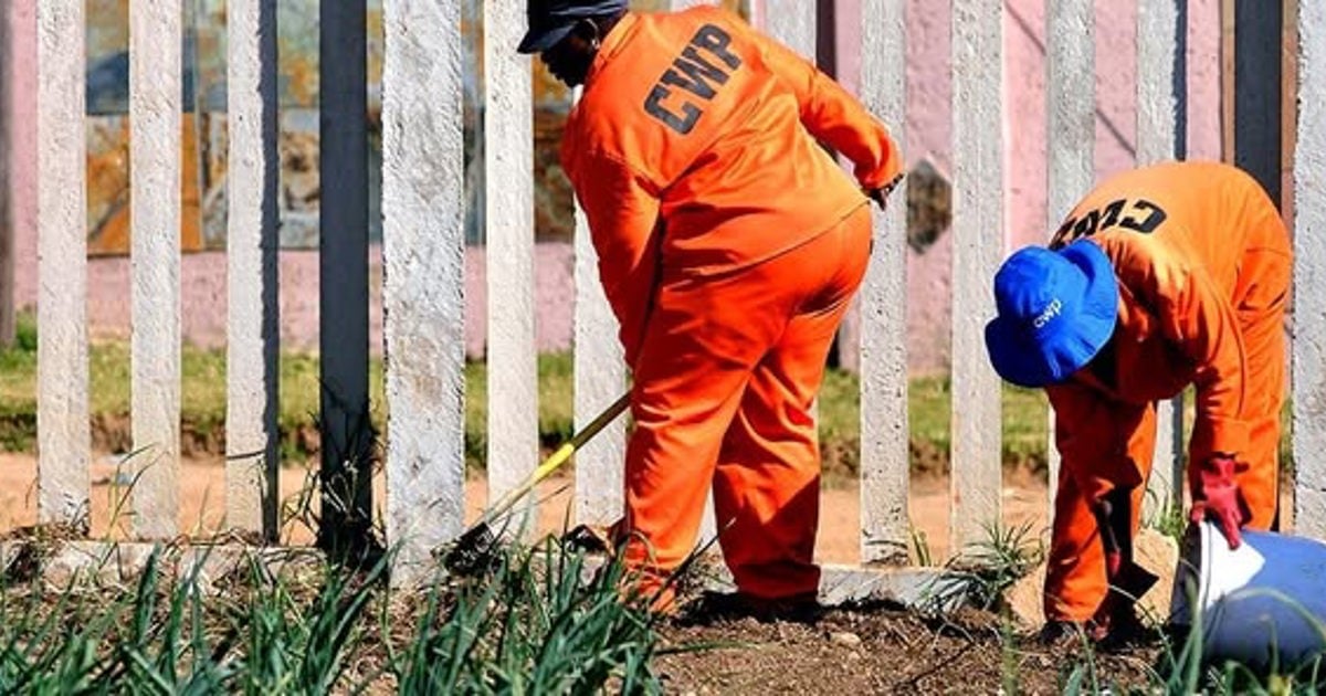 Le SAMWU engage la COGTA sur les suppressions d'emplois imminentes dans le cadre du programme de travail communautaire