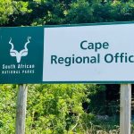 Les rapports du parc national de la Table Mountain sont une diminution des incidents criminels pendant la saison des fêtes