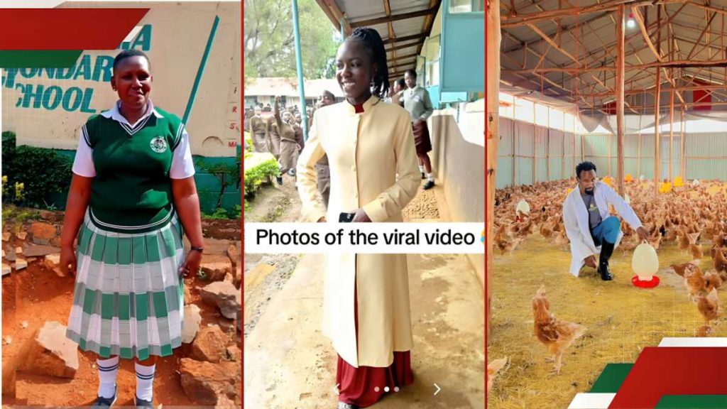 Liste des 6 histoires d’intérêt humain les plus lues en 2024 sur TUKO.co.ke