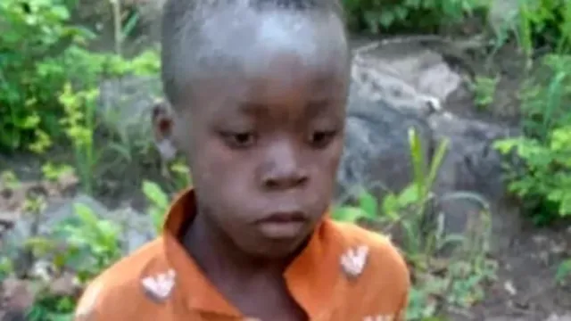 Boy (8) receiving trauma therapy after straying into wildlife-infested jungle where he spent five harrowing days