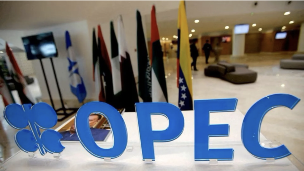 African Energy Chamber advocates multi-energy strategy at IEA-IEF-Opec Symposium