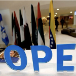 African Energy Chamber advocates multi-energy strategy at IEA-IEF-Opec Symposium