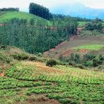 Zimbabwe compensating ex-white farmers for ‘developments’ while ignoring the Africans who worked on the land – says CCC MP