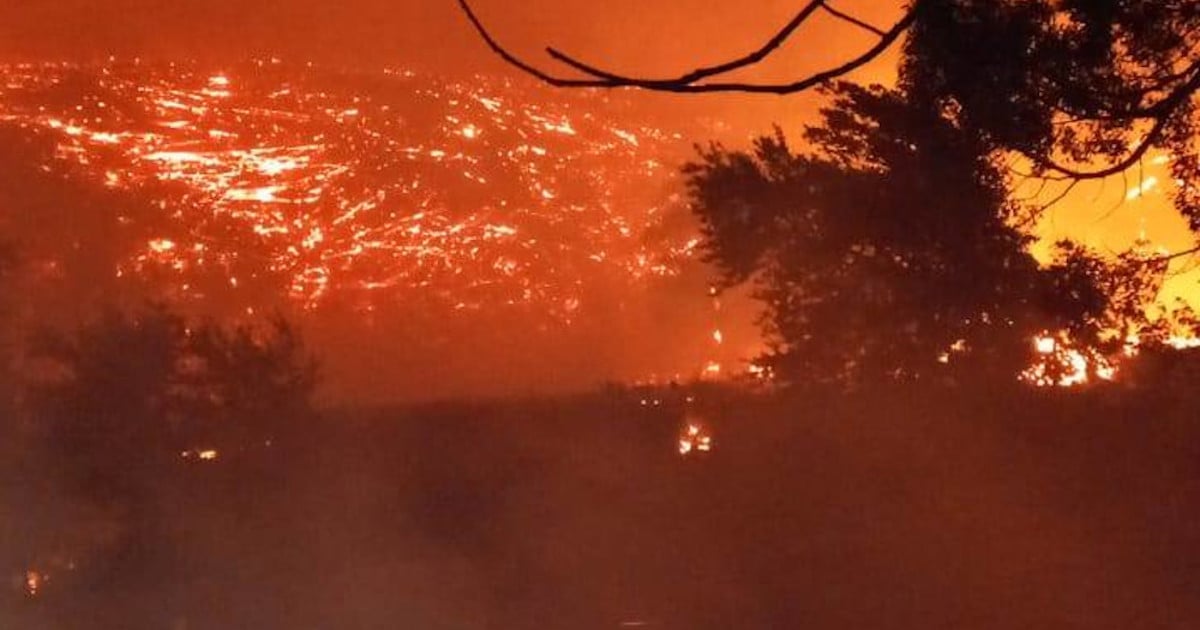 Le feu près de Wellington détruit les biens, les évacuations forces