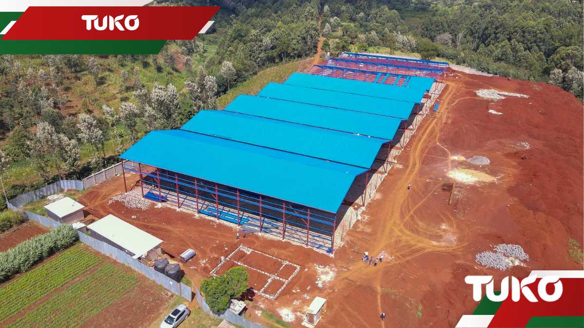 Le parc industriel KSH 500m du comté de Kiambu est en cours d'achèvement, qui devrait créer plus de 50 000 emplois
