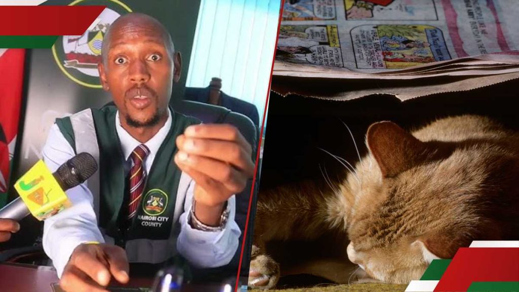 Nairobi: Moment bizarre comme Geoffrey Mosiria Busts Man portant un chat mort dans un sac propre