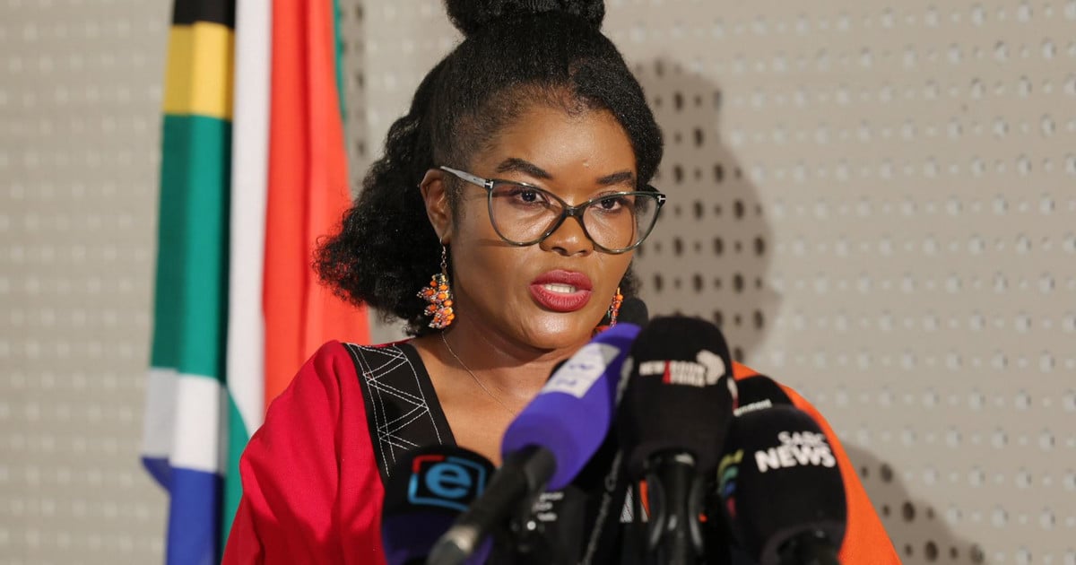 Nkabane dit qu'elle garantira le mandat des NSFAS rempli par un nouveau conseil d'administration
