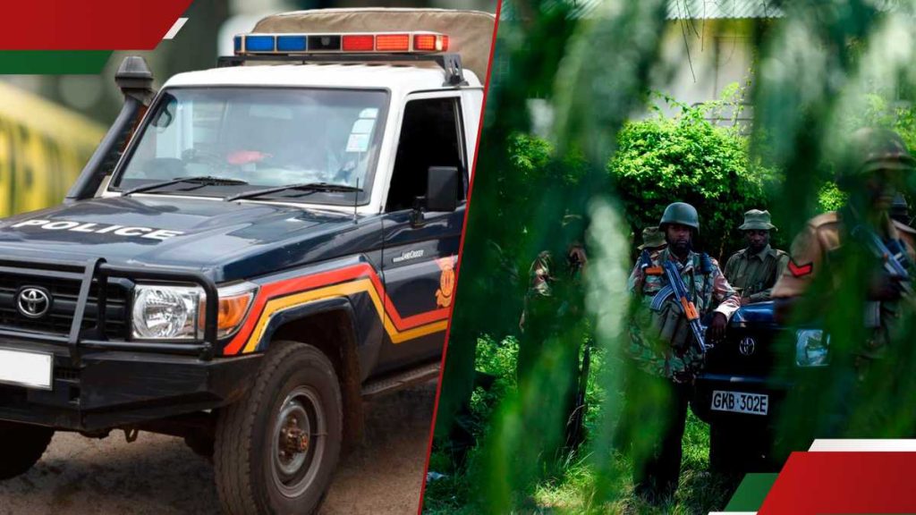 Siaya: corps de la fille de 4e année trouvée dans le fourré 2 semaines après la disparition