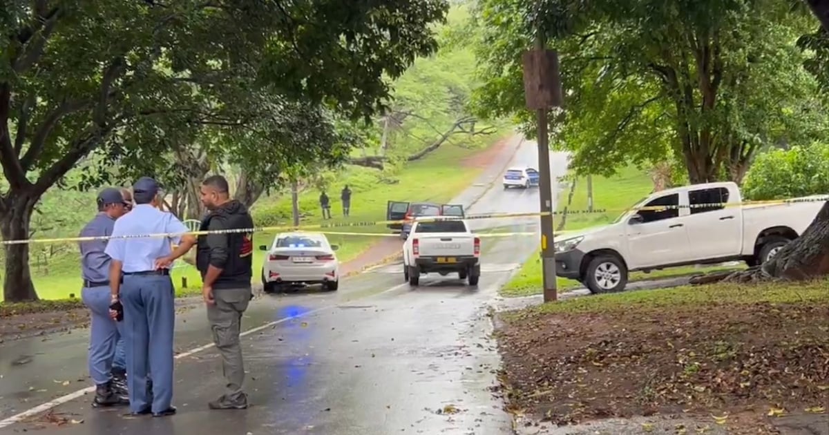3 voleurs présumés tués lors de la fusillade avec la police près de Durban