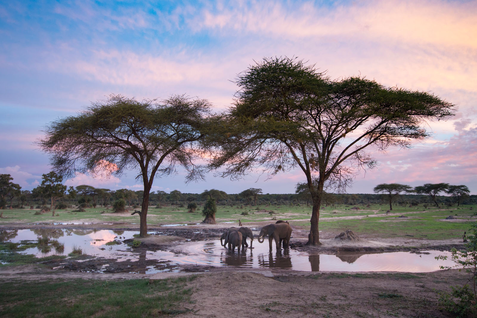 I will not subscribe to mining in national parks – Mudenda slams Sunny Yi Feng’s application to prospect for coal in Hwange National Park