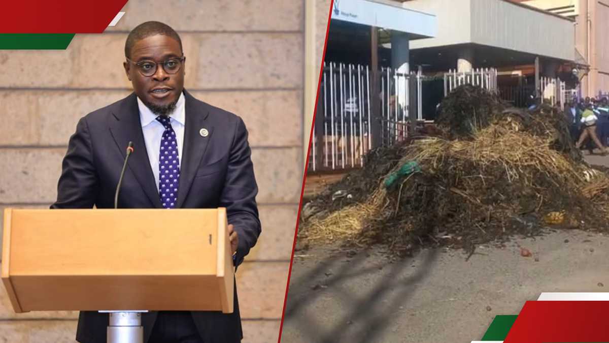 Kenya Power poursuit le comté de Nairobi pour avoir déversé les ordures à Stima Plaza: «barbare et inhumain»