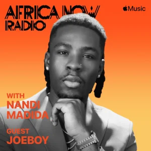 Africa Now Joeboy