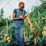 Digital Agriculture In Africa