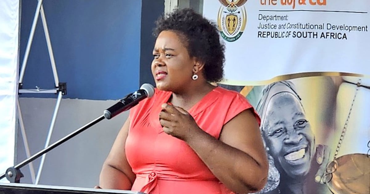 Le ministre Kubayi appelle à un examen de la législation qui interdit la publication d'informations contenues dans la liste des délinquants sexuels