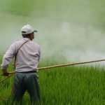 Le projet des femmes sur les fermes appelle à la réglementation des pesticides agricoles
