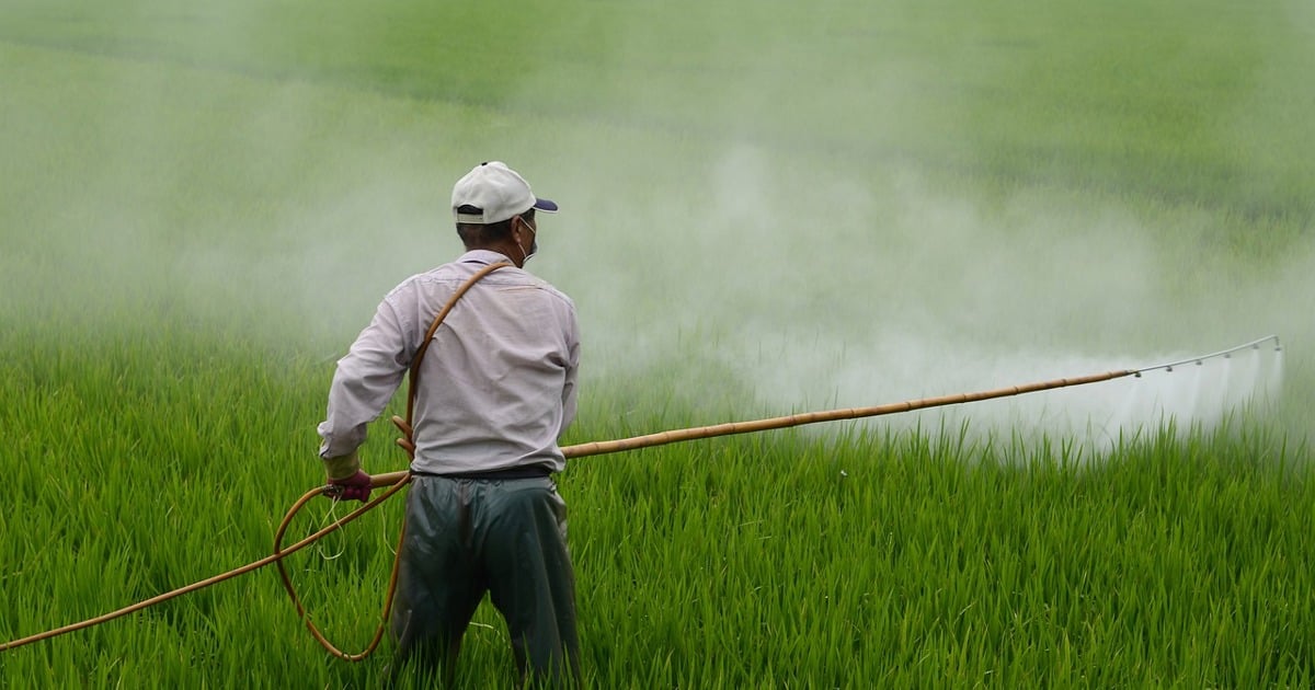 Le projet des femmes sur les fermes appelle à la réglementation des pesticides agricoles