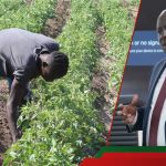 L'excitation en tant qu'agriculteurs de Migori obtient des millions de personnes en compensation pour le programme d'irrigation: "Nous sommes heureux"